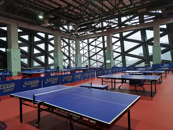 扬州南部体育公园成功举办2018全国壁球锦标赛